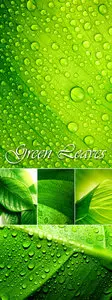 Stock Photo - Green Leaves Backgrounds