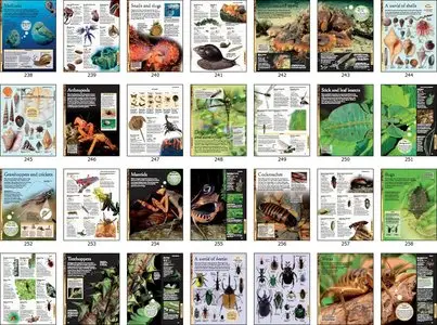 Animals: A Visual Encyclopedia, 2nd Edition
