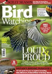 Bird Watching - September 2015