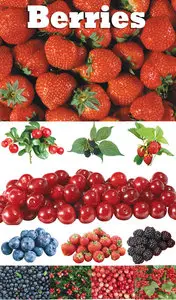 Berries. Part 1
