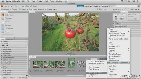 Video2Brain - Getting Started with Adobe Camera Raw