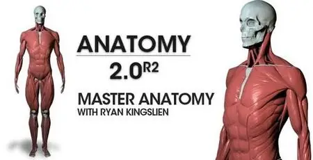 Anatomy 2.0R2 - Master Anatomy with Ryan Kingslien