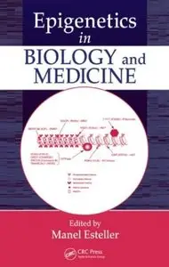 Epigenetics in Biology and Medicine
