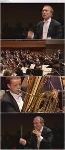 Claudio Abbado, Lucerne Festival Orchestra - Mahler: Symphonies Nos.5 & 6 (2011) [BDRip]