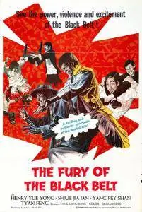 The Awaken Punch / Fury of the Black Belt (1973)