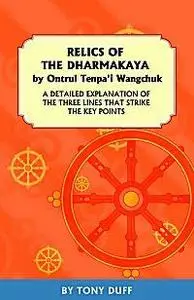 Relics of the Dharmakaya: A Detailed Explantion of the Three Lines That Strike the Key Points