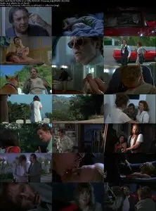 2 Days in the Valley (1996) 
