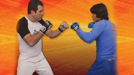 Brazilian Jiu-Jitsu Techniques Vol. 8 - Mixed Martial Arts
