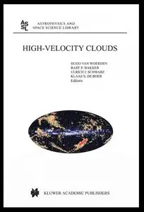 High-Velocity Clouds (Astrophysics and Space Science Library) (repost)