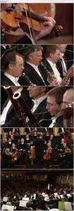 Christian Thielemann, Wiener Philharmoniker - Beethoven: Symphonies Nos. 4-6 (2010) [Blu-ray]