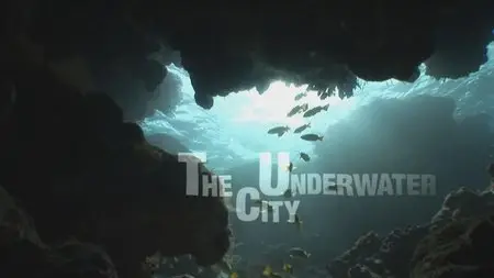 Water Life: Episode 21 - The Underwater City / Mundos de agua / Водная жизнь. Серия 21 - Подводный город (2008) 