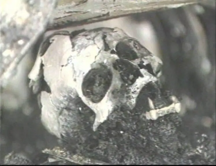 Schwerstunfälle auf der Autobahn (1995)