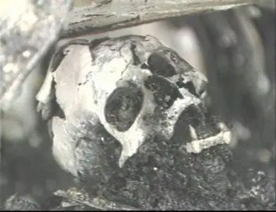 Schwerstunfälle auf der Autobahn (1995)