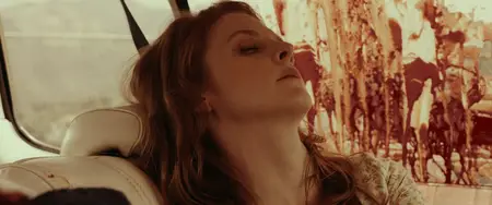 Carnage Park (2016)