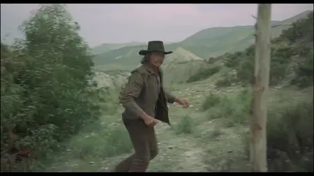 Red Sun (1971)