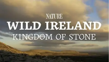 PBS Nature - Wild Ireland: Kingdom of Stone (2024)