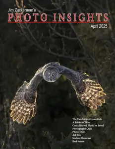 Photo Insights - April 2025