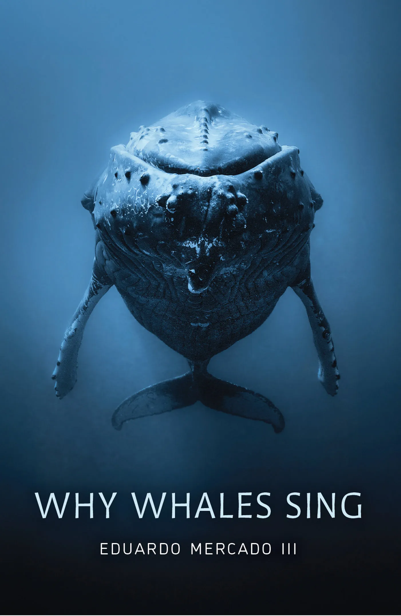 Why Whales Sing