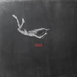 Low Island - bird (2025) [Official Digital Download]