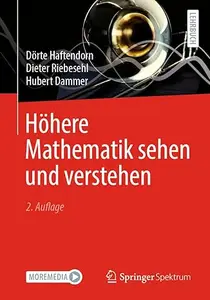 Höhere Mathematik sehen und verstehen, 2. Auflage