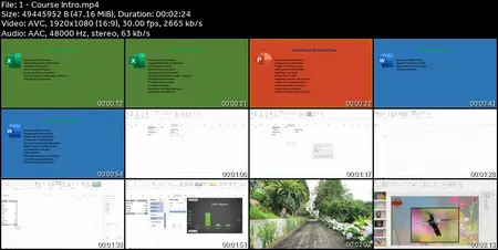 Microsoft Office Training : Master Excel, PowerPoint & Word