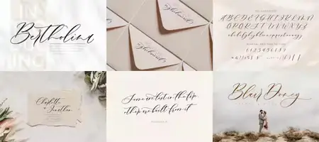 Bertholina - Modern Script Typeface