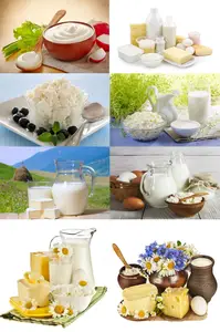 Fresh milk and dairy products