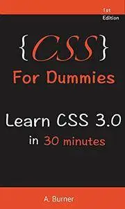 CSS for Dummies: Learn CSS 3.0 in 30 Minutes