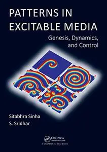 Patterns in Excitable Media: Genesis, Dynamics, and Control