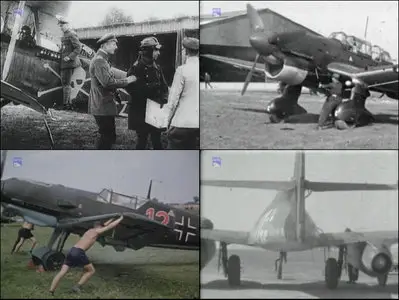 Die Geschichte der deutschen Luftwaffe. 1914-1945