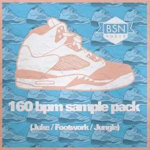 Two Waves Bsn Posse 160 Sample Pack WAV