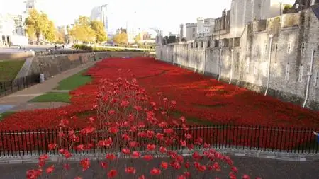 ITV - Britain's Poppies: The First World War Remembered (2018)