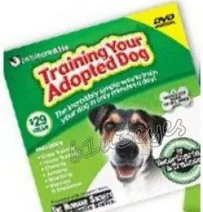 Training Your Adopted Dog