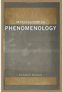 Introduction to Phenomenology [Repost]