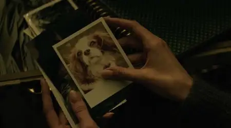 Adaline – L’eterna giovinezza / The Age of Adaline (2015)