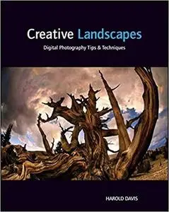 Creative Landscapes: Digital Photography Tips and Techniques [Repost]