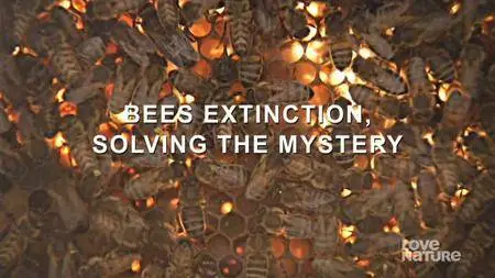 Mona Lisa Production - Bees Extinction, Solving the Mystery (2008)