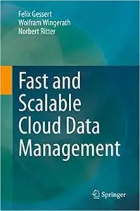 Fast and Scalable Cloud Data Management