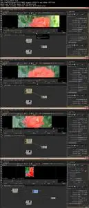 Natron for Beginners