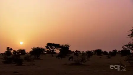 MC4 - The Great Desert Turf (2009)
