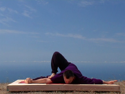 Andrey Lappa - Introduction to Universal Yoga [repost]