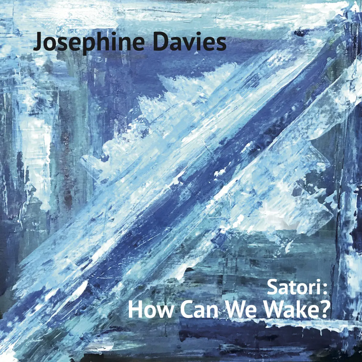 Josephine Davies - Satori: How Can We Wake? (feat. Dave Whitford & James Maddren) (2020)