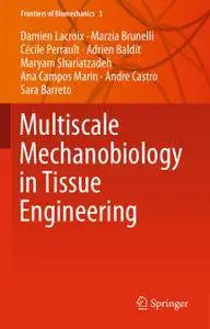 Multiscale Mechanobiology in Tissue Engineering (Repost)