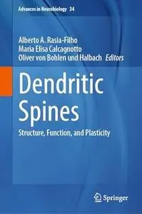 Dendritic Spines: Structure, Function, and Plasticity