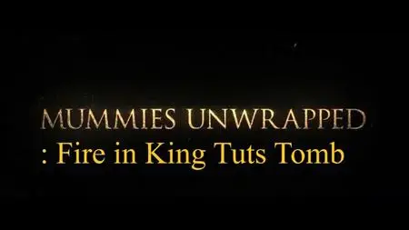 Discovery Channel - Mummies Unwrapped: Fire in King Tuts Tomb (2019)