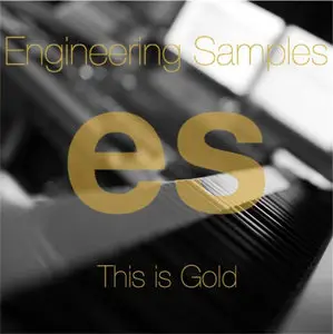 Engineering Samples This Is Gold Modern Pop Production WAV