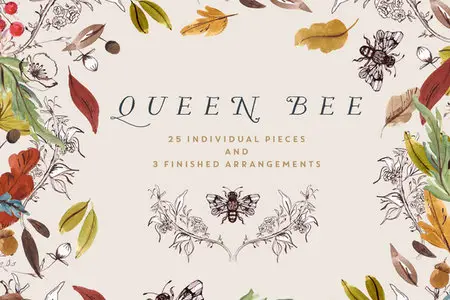 CreativeMarket - Watercolour Clip Art - Queen Bee