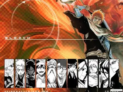 Anime wallpapers : "Angel Sanctuary" & "Bleach"