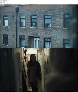 Cat in the Wall (2019)