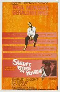 Sweet Bird of Youth (1962) [Repost]
